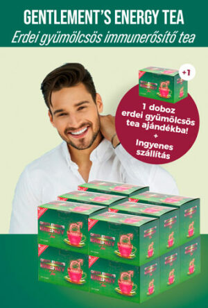 Gentlemens Energy erdei gyümölcsös tea 12+1 doboz