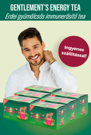 Gentlemens Energy erdei gyümölcsös tea 6 doboz