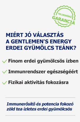 Gentlemen's Energy erdei tea előnyök